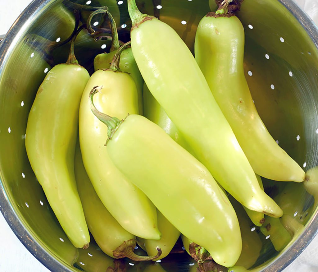 can-dogs-eat-banana-peppers-petandplants